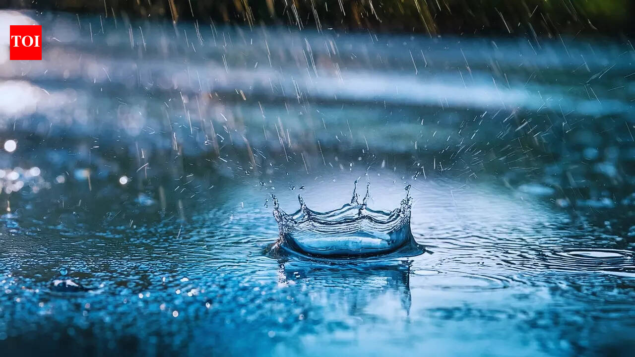 Delhi wakes up to rain as IMD warns of further storm activity across North India