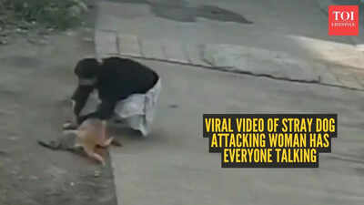 Watch: Viral video of stray dog attacking woman has everyone talking