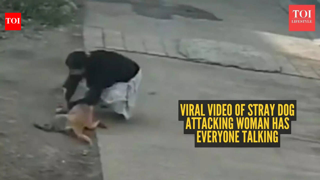 Watch: Viral video of stray dog attacking woman has everyone talking