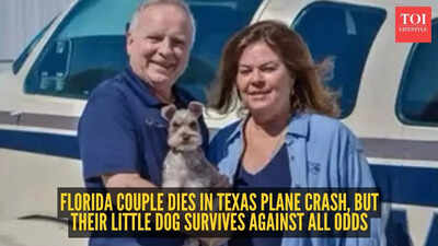 Florida couple dies in Texas plane crash, but their little dog survives against all odds
