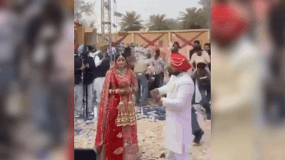 Carpet of currency: Rs 10 crore showered on Punjab couple on Valentine's Day wedding? DJ clarifies