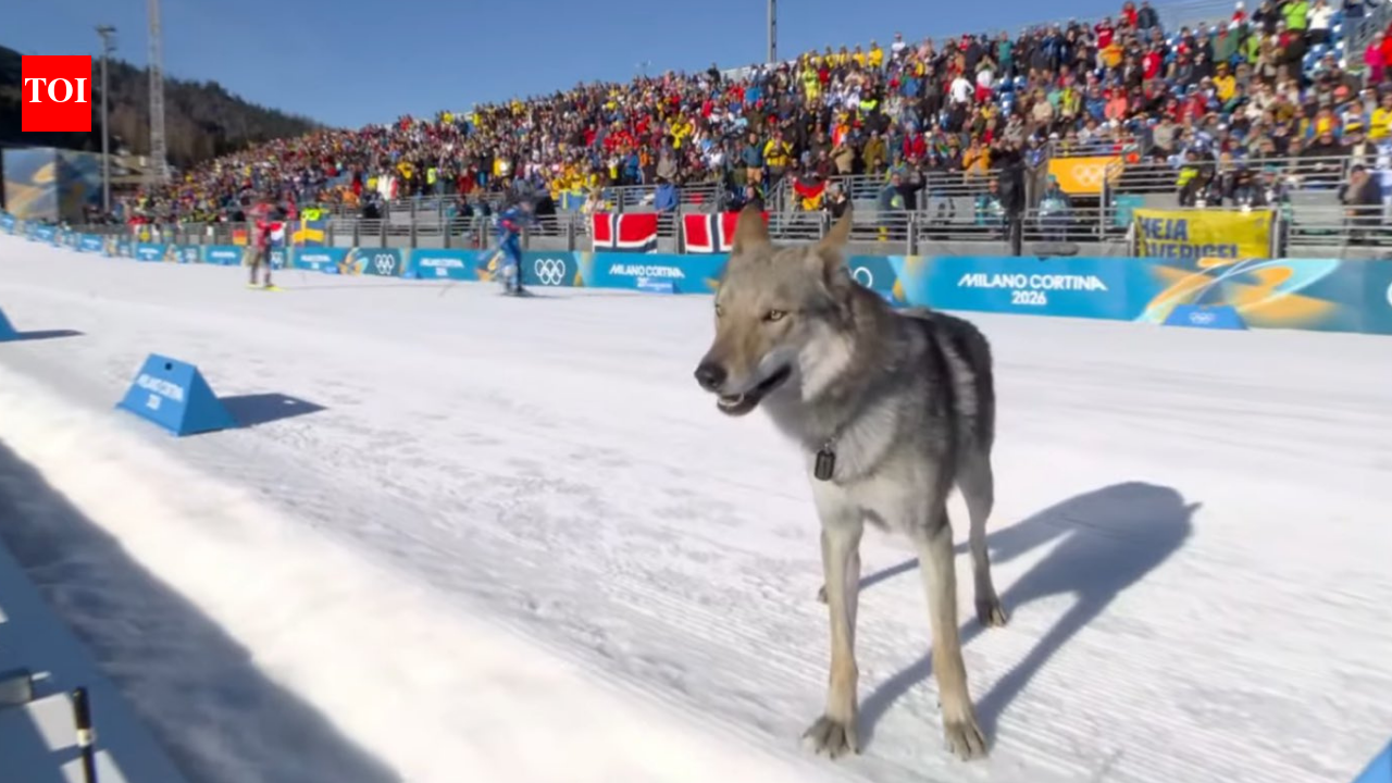 Sit, stay, run: Dog gatecrashes Olympic sprint, crosses finish line - watch