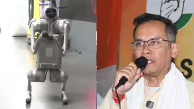 Evening news wrap: Galgotias University under fire over Chinese robodog at AI Summit; Gogoi calls CM Himanta 'Assam's Jinnah' & more