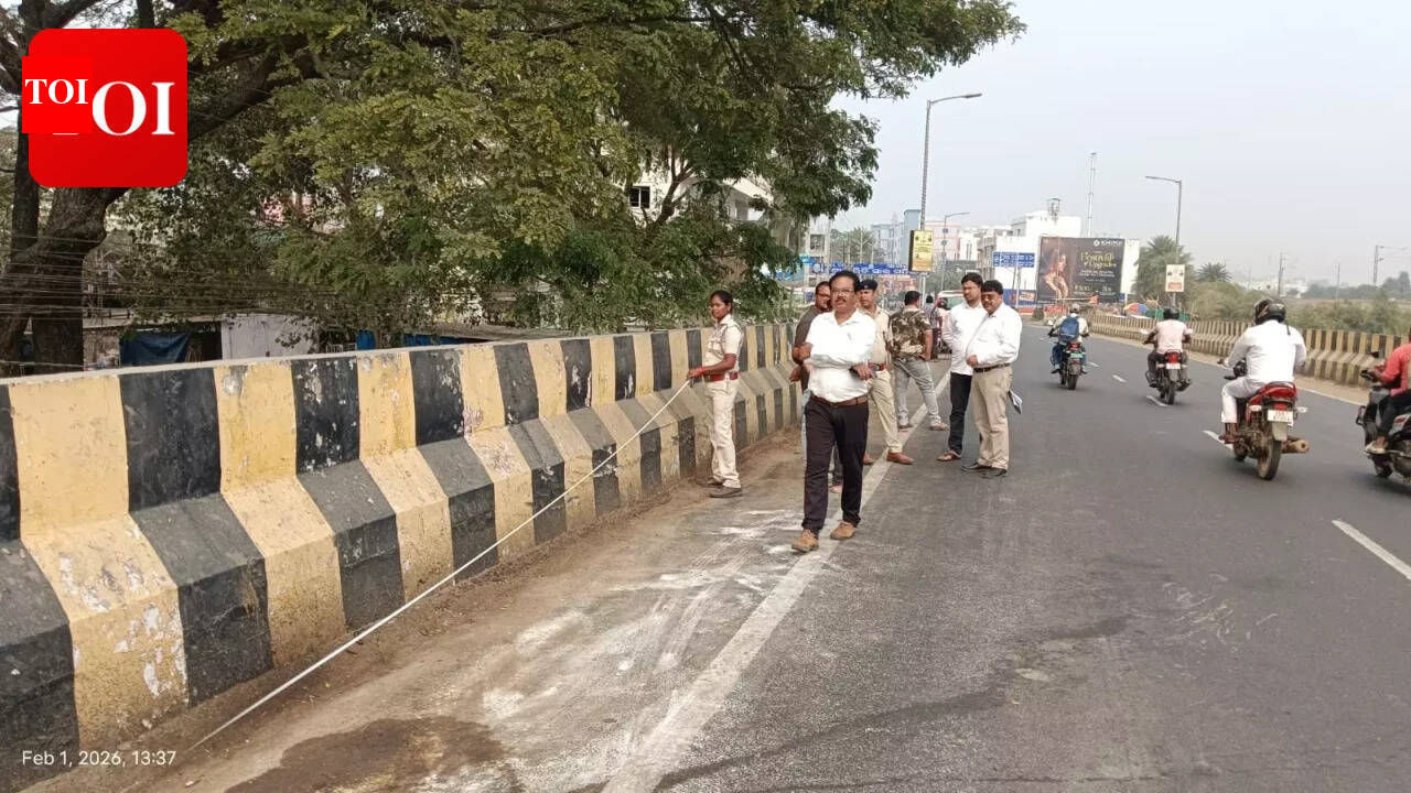 Supreme Court panel seeks report on Haladiapadar bridge accident, asks for safety measures