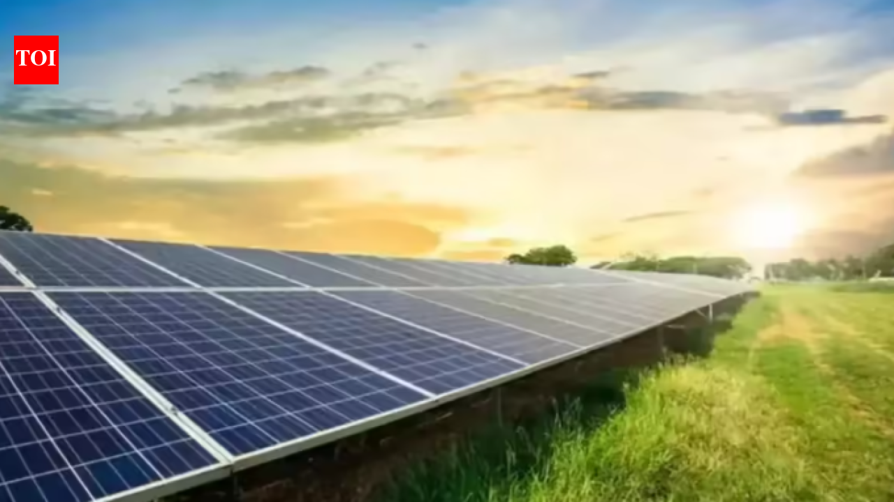 Coimbatore corporation budget allocates Rs 627.94 crores for climate resilience