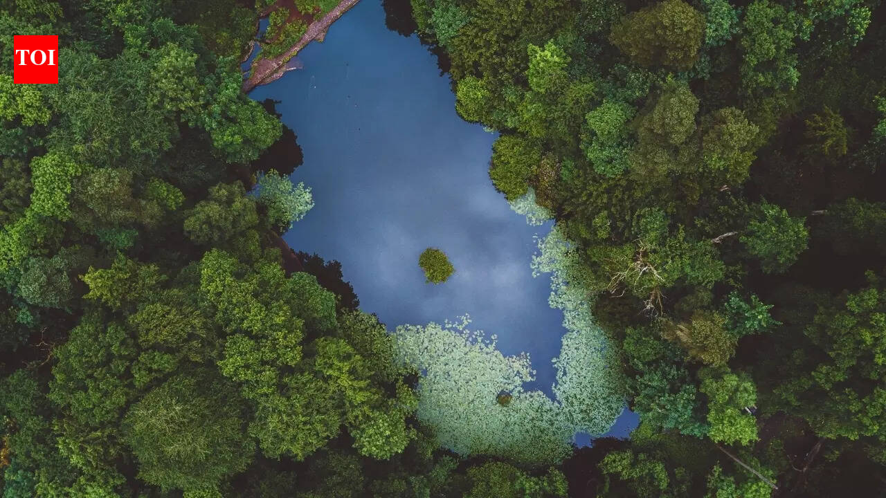 How small is the world's smallest lake, and where is it located?