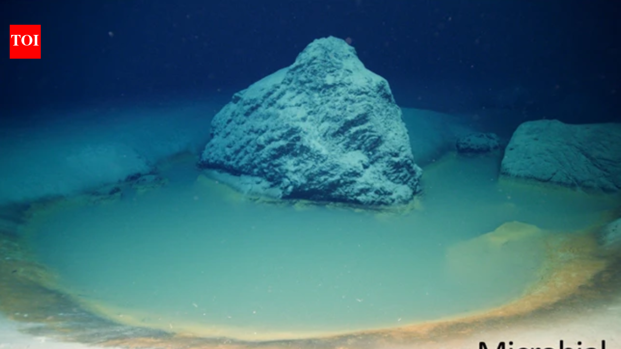 Deep beneath the Red Sea, the Gulf of Aqaba hides a toxic ‘ocean within an ocean’ where life cannot survive