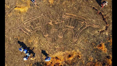 Maharashtra cultural department sets up World Heritage Desk for Konkan petroglyph research and conservation