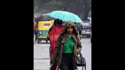 Light rain, gusty winds improve AQI as CAQM revokes GRAP stage-II