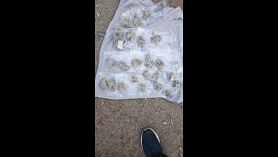 2 held with hydroponic weed worth 80 lakh