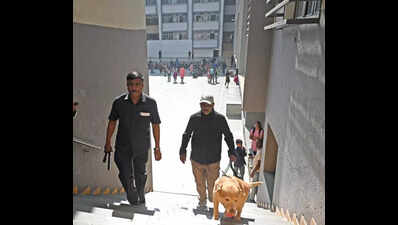 Foreign link found in school bomb threat emails across Gujarat: Police