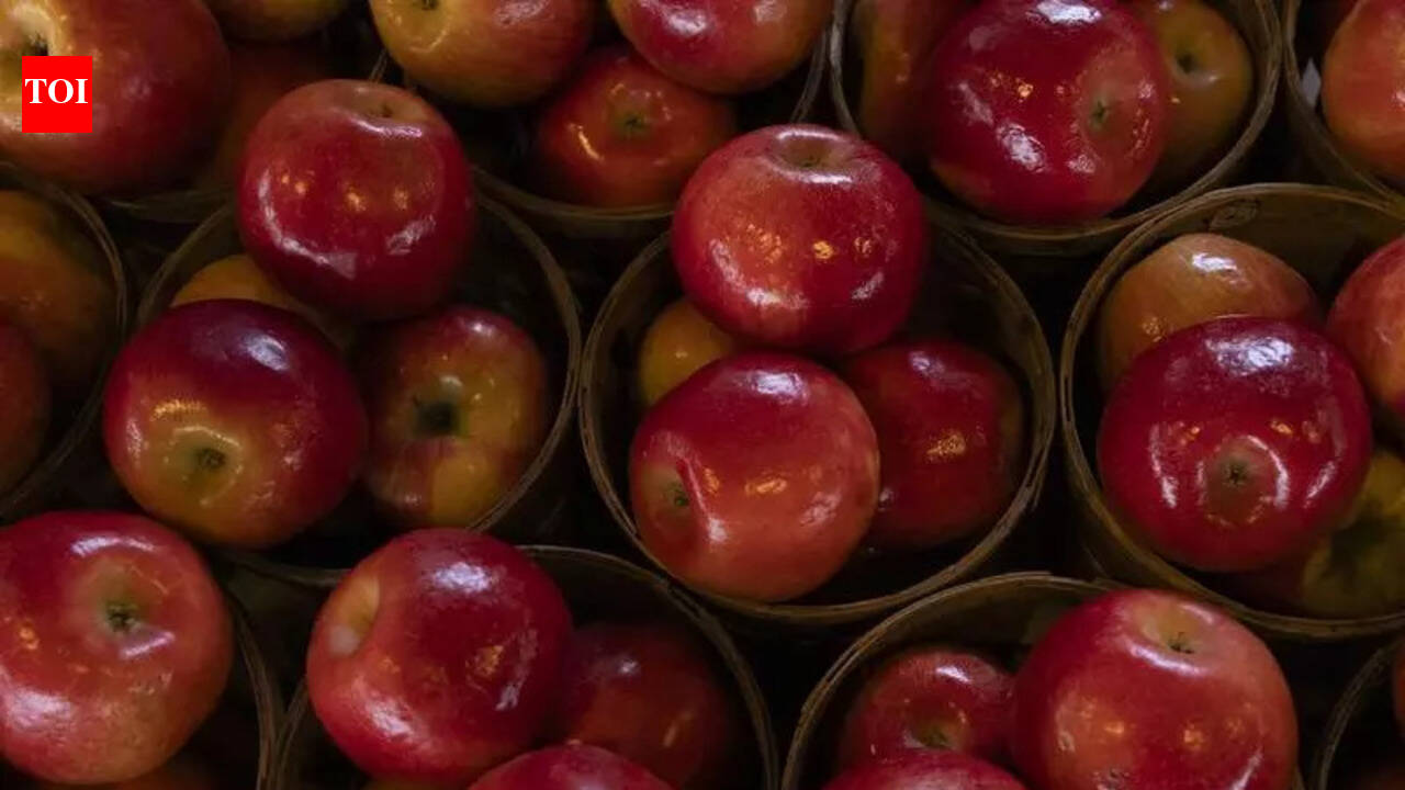 HP apple growers await payments worth over Rs 6 cr | Chandigarh News ...