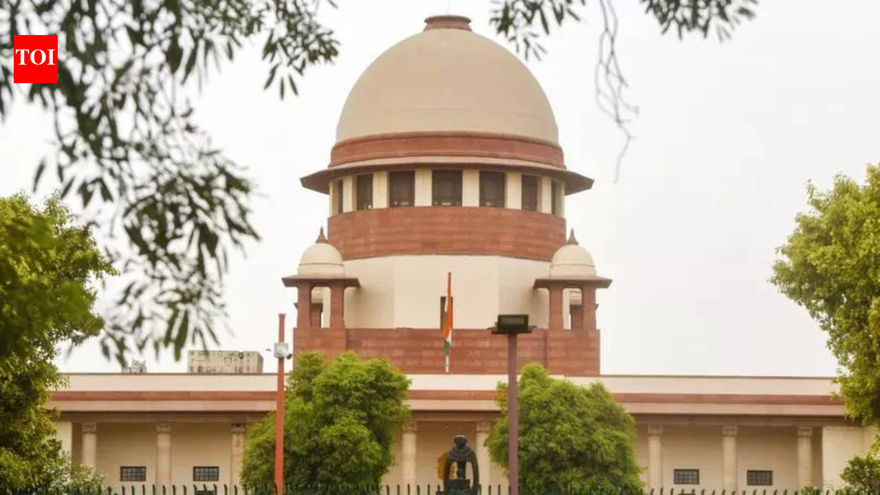 Porsche crash case: SC grants bail to one more co-accused on grounds of ...