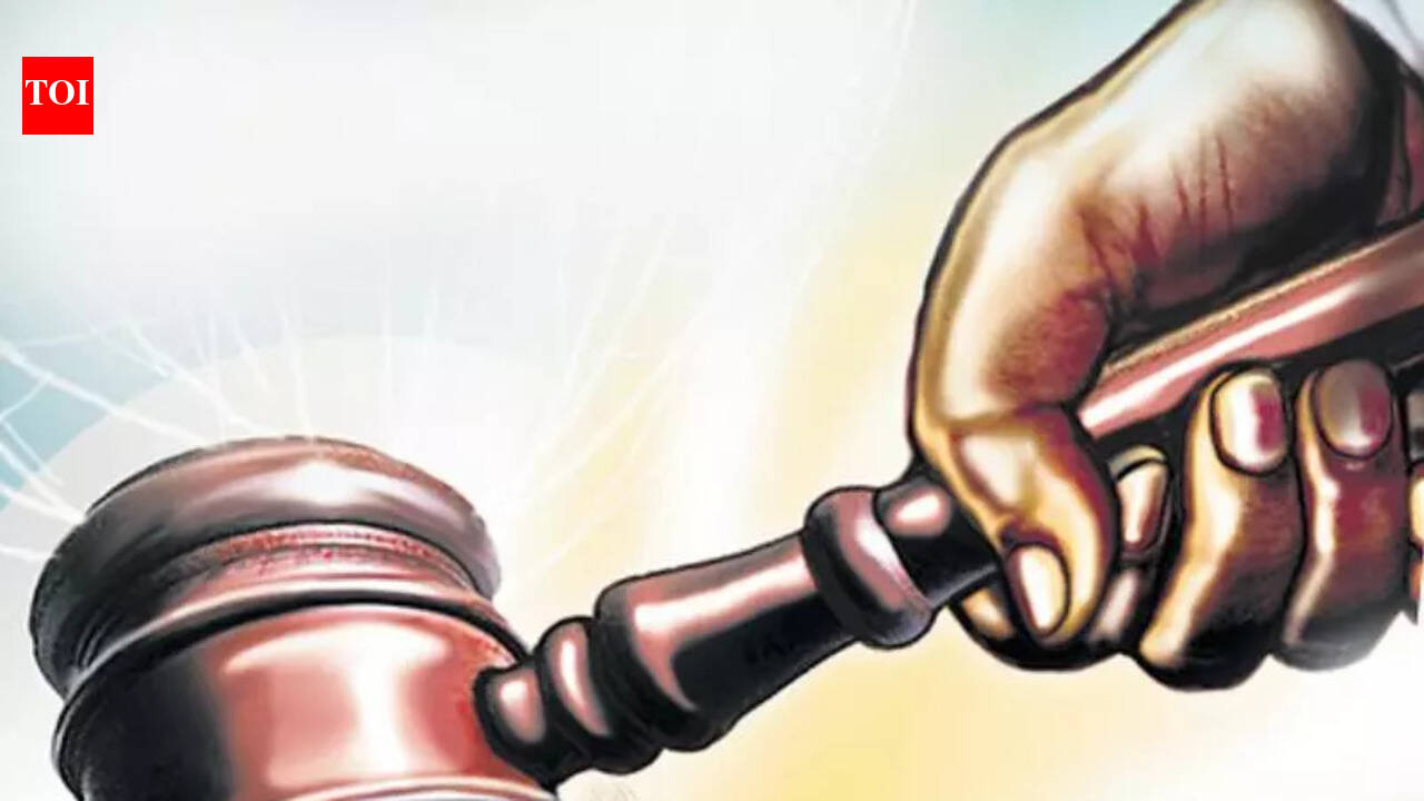HC junks former VC’s plea against removal | Jaipur News - The Times of ...