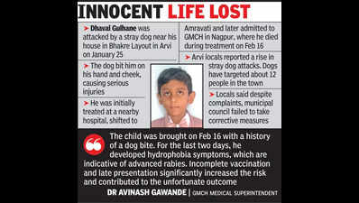 8-yr-old Arvi boy dies after stray dog attack