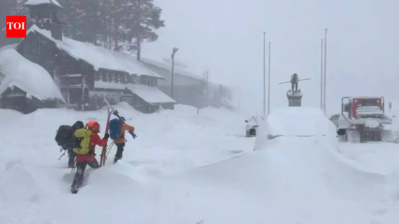 Lake Tahoe avalanche: 8 skiers dead, one missing after massive slide near Castle Peak