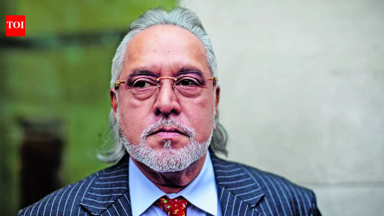 Can't give a precise date for my return to India, Vijay Mallya tells Bombay HC