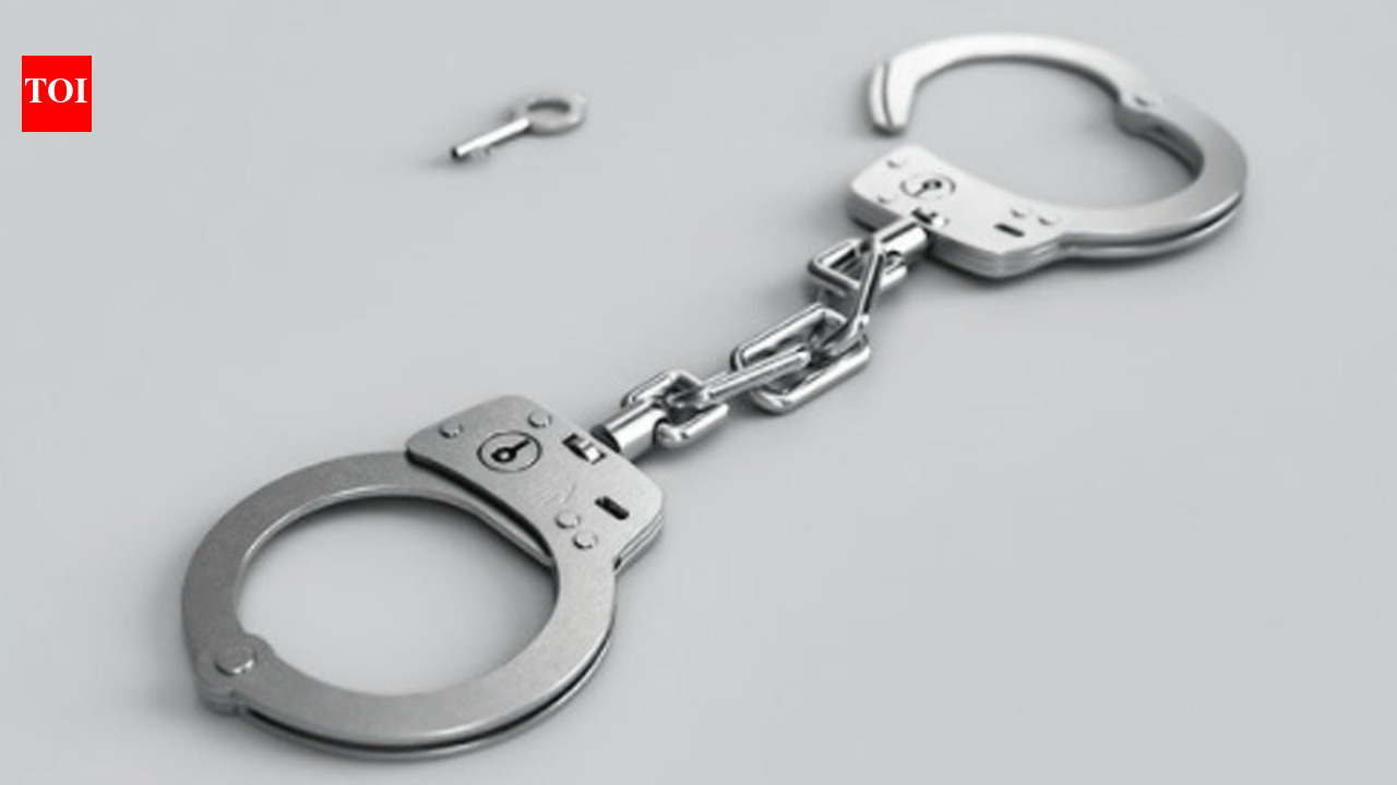 महाराष्ट्र पोर्टलवर १५,०००हून अधिक बनावट जन्म नोंदी; झारखंडमधून ५ जणांना अटक