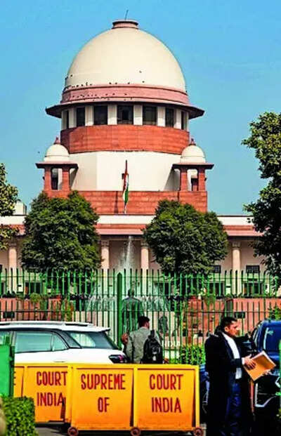 Deal firmly with race, language crimes: SC