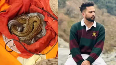 'Bad message' to society if celebrities allowed to use 'voiceless victims': SC in Elvish Yadav snake venom case