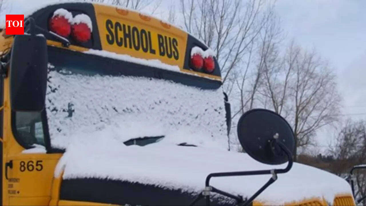 Schools open, buses cancelled across GTA amid Ontario winter storm: Weather forecast, other details families need to know