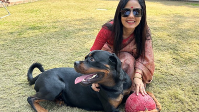 TMC MP Mahua Moitra moves Delhi high court against ex-partner seeking custody of pet Rottweiler 'Henry'