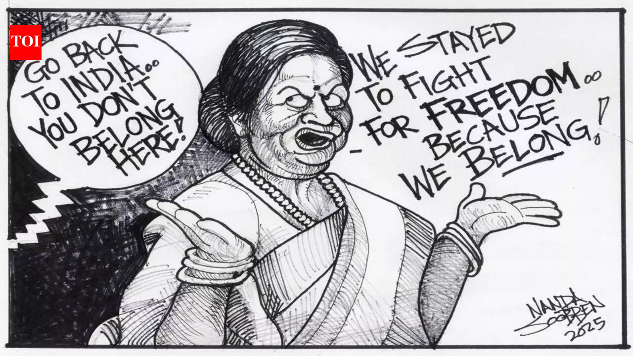 Partners in apartheid fight, Indian South Africans facing racism again ...