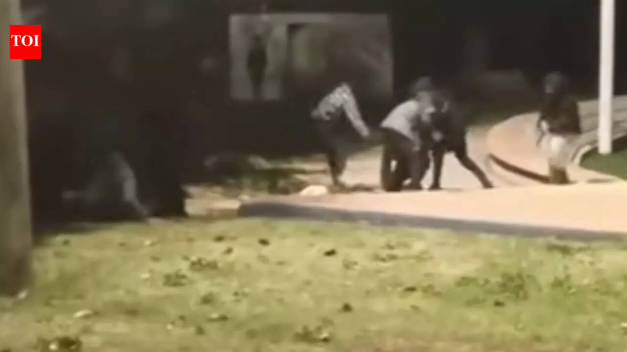 Perpetrators caught: Israeli Embassy condemns attack on Indian workers in Ashkelon