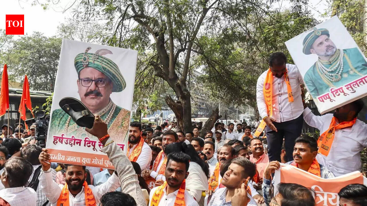 टिप्पणी से पीछे हटने तक: क्यों शिवाजी महाराज-टीपू सुल्तान की तुलना से विवाद खड़ा हुआ – समझाया गया | भारत समाचार