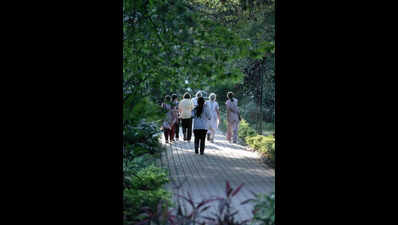 Summer call: Keep Bengaluru parks open all day, say citizens