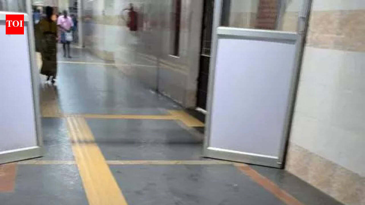 DC directs institutions to prevent stray dogs on premises