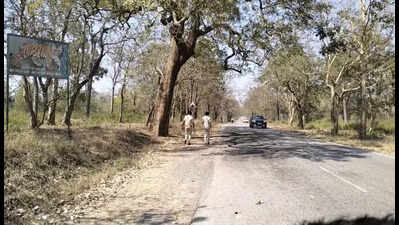 Dept takes measures to control forest fires across Kodagu dist