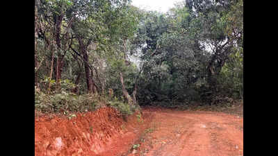 Forest minister seeks report on earth machinery work in Kudremukh national park