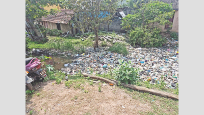 How a Chennai Lake Shrinks Amidst Sewage, Waste; Rejuvenation Efforts Questioned