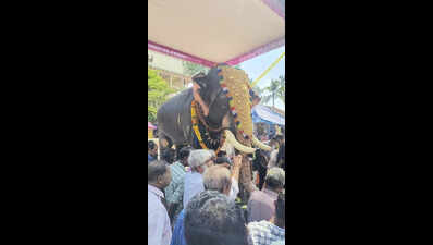 Robotic elephants to replace captive ones at Cherthala temples