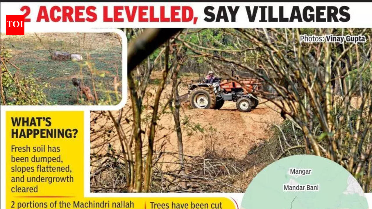 Protected Aravali slopes in Faridabad flattened as tractors trample on rules | Gurgaon News – The Times of India