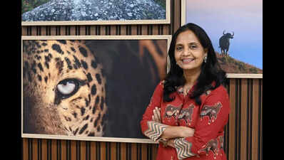 HC summons forest secy on Feb 27 over upkeep fund delay