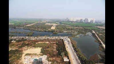 Noida techie death: Realtor gets pre-arrest bail