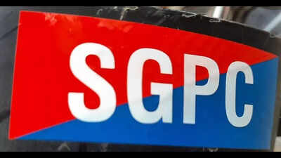 SGPC to meet AI firms to curb misleading content