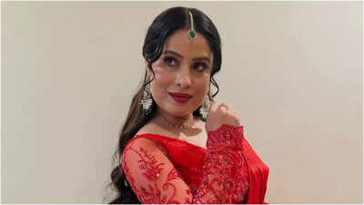 Sanjana Pandey impresses the audience with her performance in the latest film ‘Collector Sahiba’