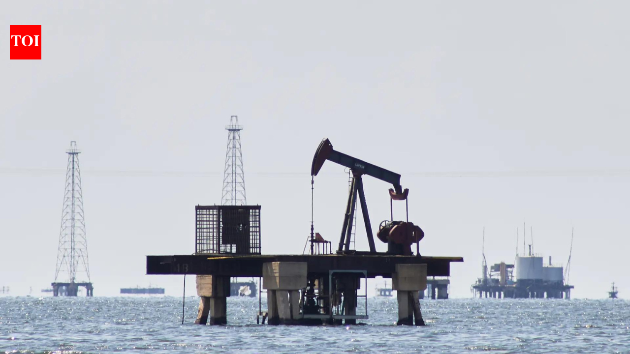 ‘भारत तेल सोर्सिंग में विविधता ला रहा है’: अमेरिकी दूत सर्जियो गोर ने रूस के बदलाव पर ध्यान दिया – उन्होंने वेनेज़ुएला विकल्प पर क्या कहा