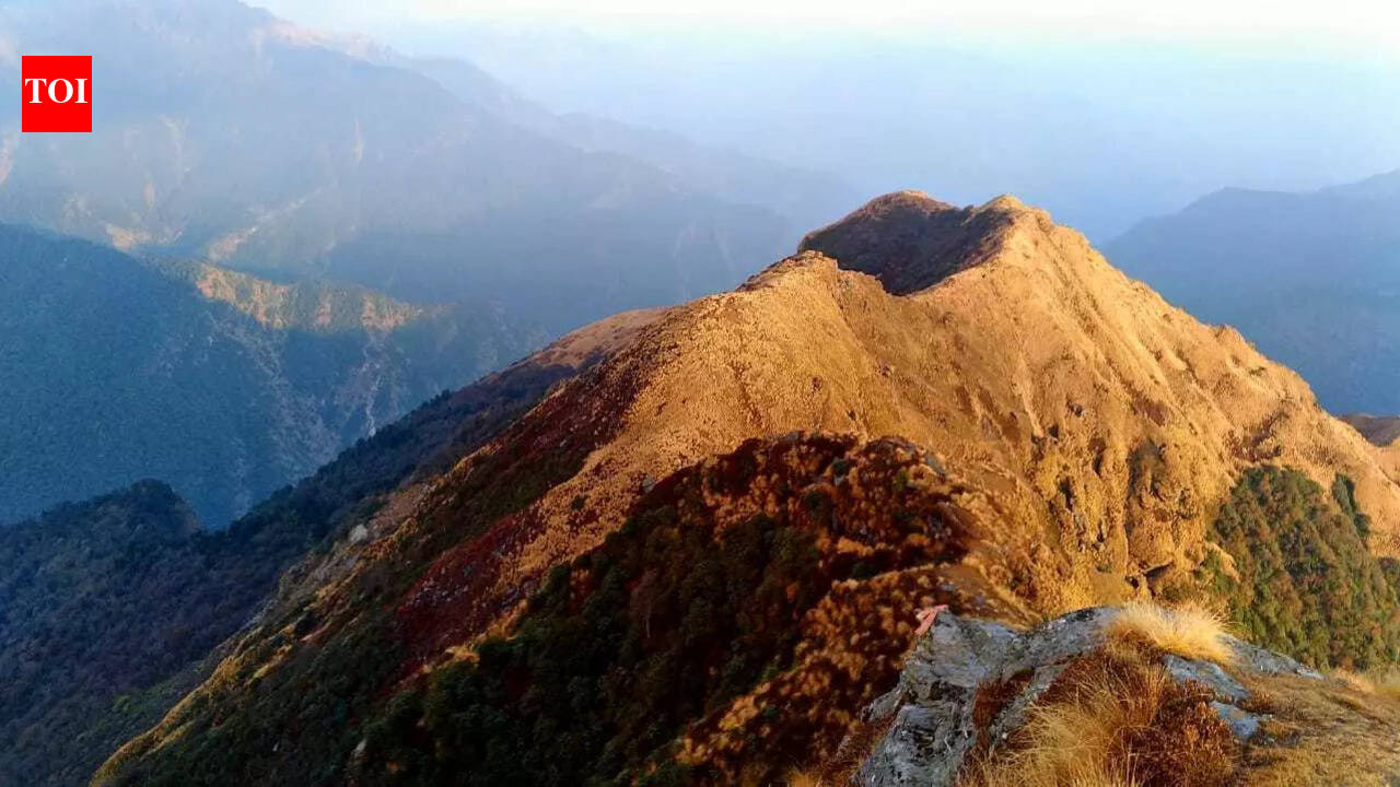 Himalayan destruction like Ponzi scheme, says director of climate film