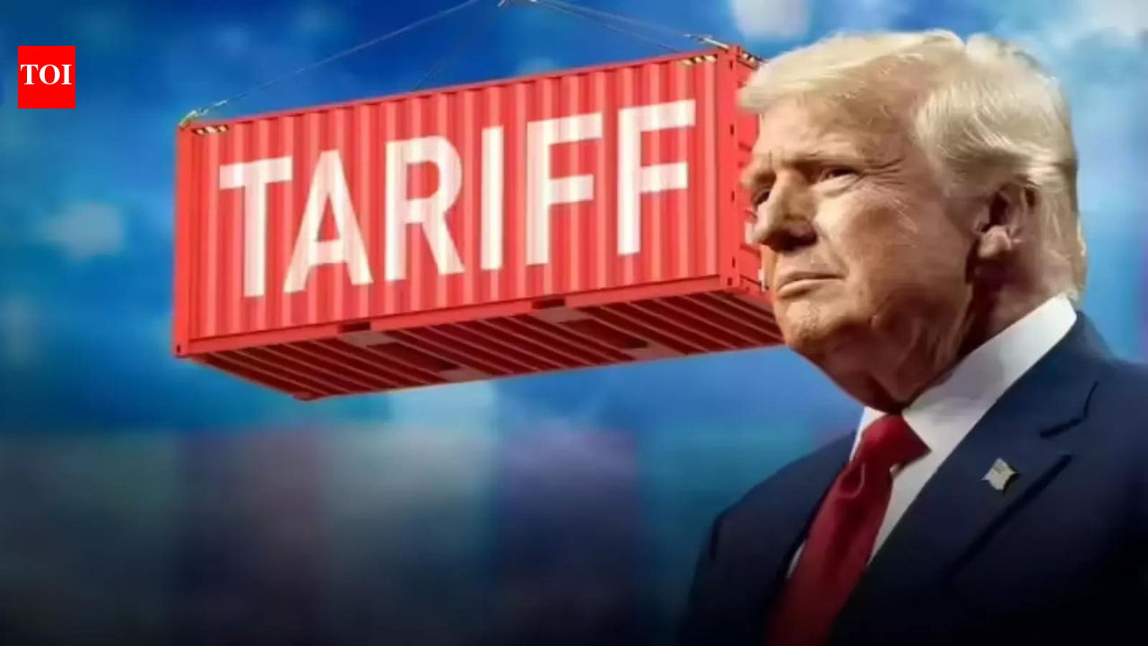Can Trump overturn Supreme Court tariff ruling? What US Constitution says
