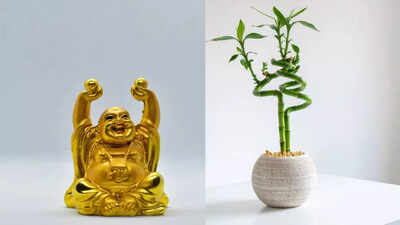 Feng Shui tips to attract good health by adding artifacts