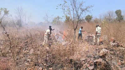 Drones to ground patrols, Telangana mounts full-scale strategy against forest fires