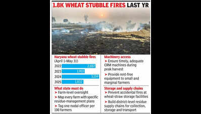Wheat stubble burning too adds to NCR pollution, Haryana to track every farm after CAQM order
