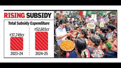 TN Subsidy Bill Rises 39% in a Year, Hits ₹52,603 Cr