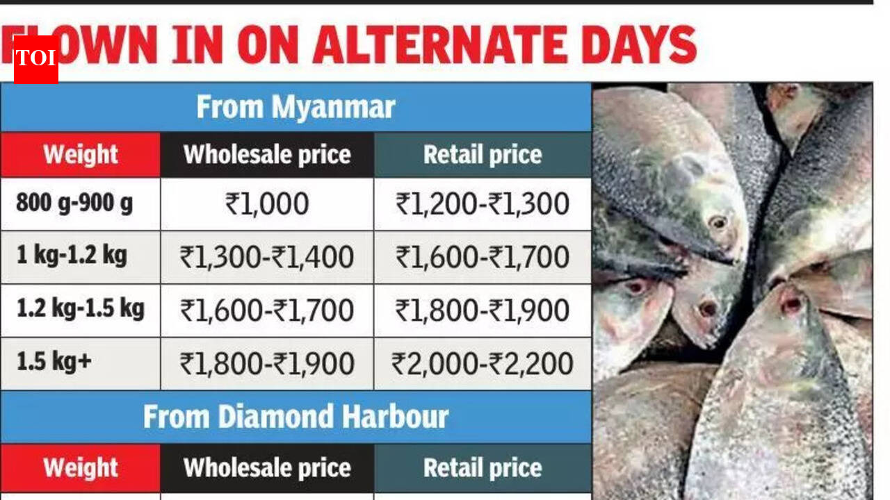 Off-season surprise on Kol platter: Fresh hilsa from Myanmar, Diamond Harbour floods mkts