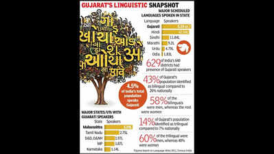 International Mother Language Day: Gujarat has high share of bilingual, trilingual population
