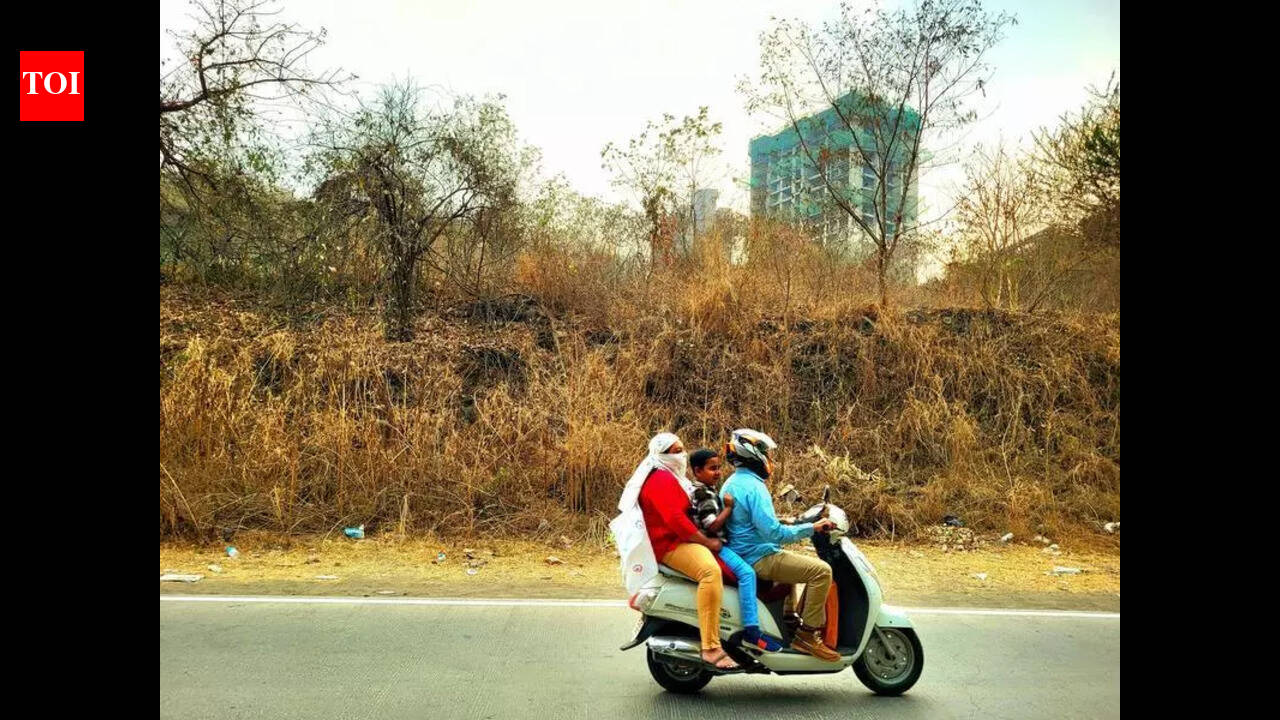 राज्यातील दिवसाचे तापमान २-३° ने वाढणार; फेब्रुवारीत महाराष्ट्रातील काही भाग ३७°C च्या जवळ जाण्याची शक्यता